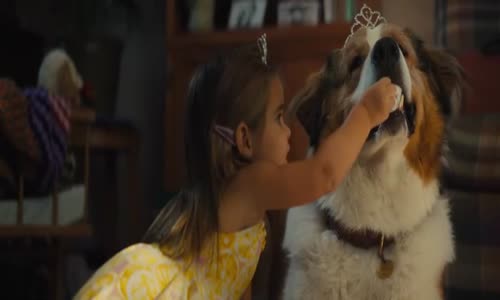 Psí Poslání 2 - A Dogs Journey (2019) CZ Dabing avi