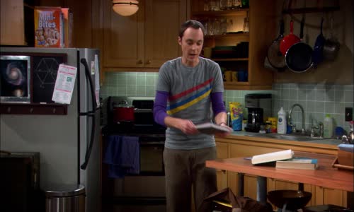 The Big Bang Theory_S01E11_The Pancake Batter Anomaly mkv