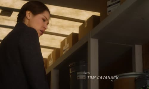 The Flash S05E18 ENGdab CZsub mkv