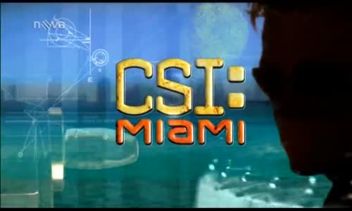 Kriminálka Miami S09E08 (200) (2010 SD) Všechno nejlepší (SD) mp4