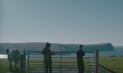 shetland s08e02 hdtv xvid avi