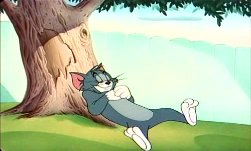 Tom a Jerry 05 avi