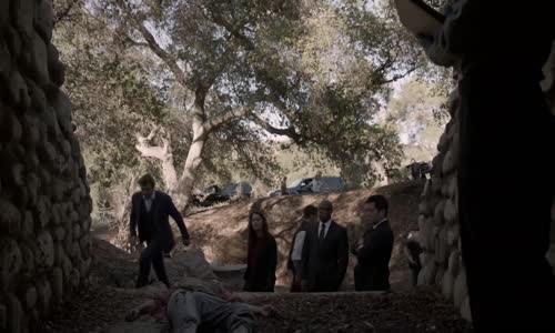 The Mentalist S07e12 Brown Shag Carpet mkv