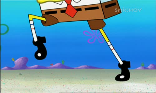 Spongebob v kalhotách - Zpátky do školy, Spangebob reportérem mpg