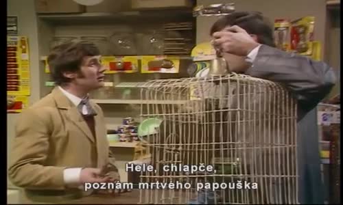 Monty Python - Dead Parrot (czech sub) mp4