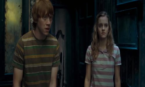 Harry Potter a FĂ©nixĹŻv Ĺ™Ăˇd (2007) CZ - 5 dĂ­l Harryho Pottera avi