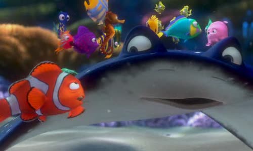Hledá se Nemo (2003) CZ-dabing avi