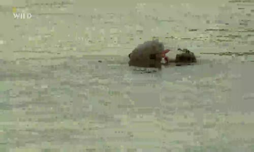 Divoké Peru - Andy - 2  díl mp4