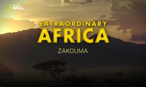 Neobyčejná Afrika E03 Národní park Zakouma mkv