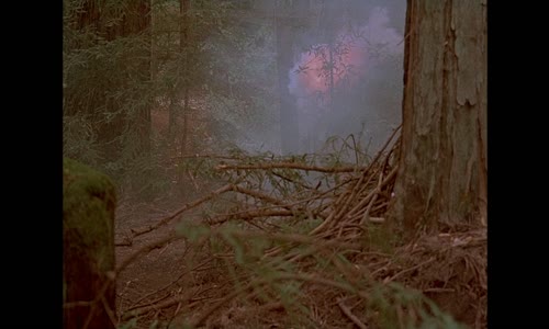 Bitva o planetu Endor Ewoks The Battle for Endo 1985 CZ EN 1080p WEB-DL mkv