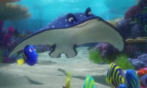 Hledá se Dory (2016) BRRip CZ-dabing avi