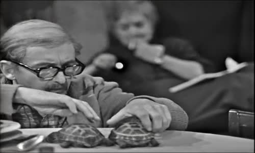 Taková normální rodinka 01-Zenich-MgR mkv