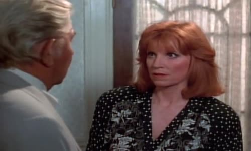 matlock s06e01 e02 dvdrip xvid ositv mp4