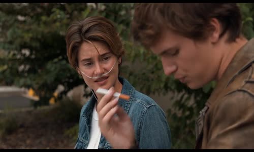 the fault in our stars 2014 480p web dl x264 mkv