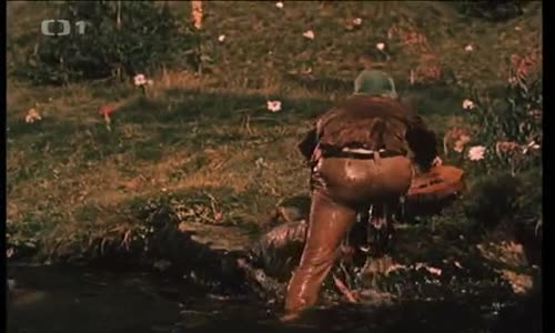 Obusku z pytle ven, CZ (1955) avi