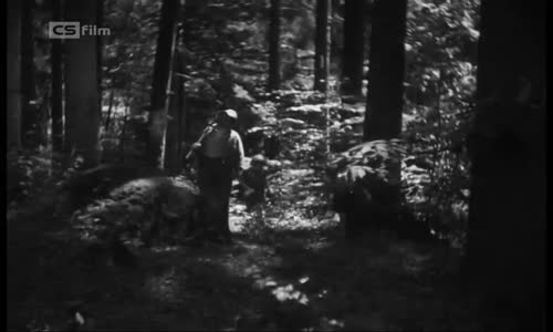 Perníková chaloupka -1933 avi