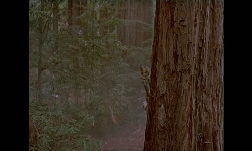 Ewoks The Battle for Endor 1985 1080p DSNP WEB-DL AAC2 0 H 264-SPRITE mp4