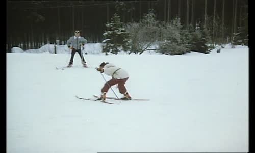 Sněženky a machři (1982) [juraison+] avi