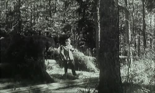 Plavecký mariáš (1953) [juraison+] avi