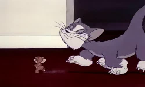 Tom a Jerry (01) mp4