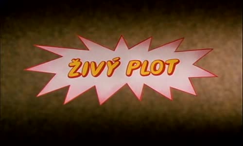 45 Zivy plot mp4