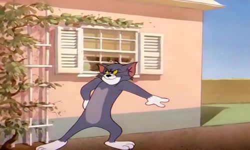 Tom a Jerry (63) mp4
