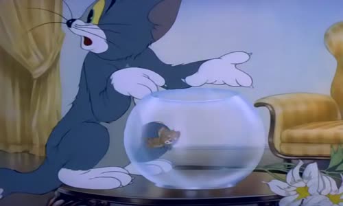 Tom a Jerry (06) mp4