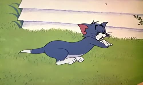 Tom a Jerry (120) mp4