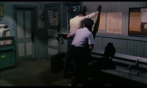 V žáru noci / In the Heat of the Night (1967)_DVDRip_1080p_H 265(HEVC)_audio CS,EN_subtitles CS mkv