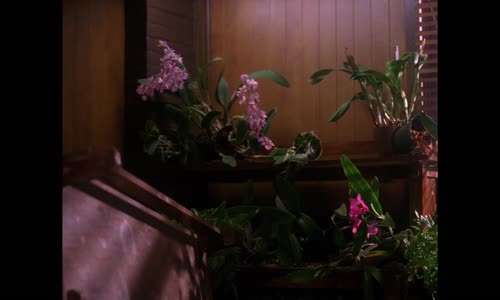 Městečko Twin Peaks 2 07 Osamělé duše HD 1080p cz mkv