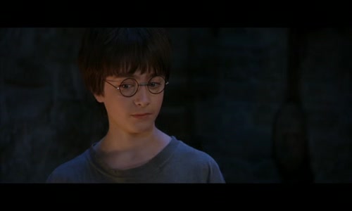 Harry Potter 1 a Kámen mudrců (2001) CZ Dabing avi