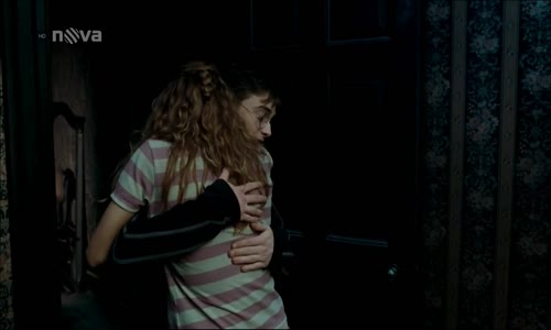 5  Harry Potter a Fénixův řád  (2007)(CZ)  HD 1280x720 avi
