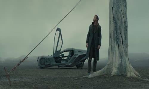 Blade-Runner-2049-(2017-CZ-Dabing) avi