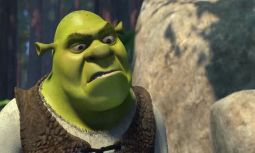 Shrek 1 (2001) BDRip Cz avi