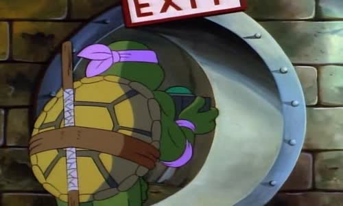 Teenage Mutant Ninja Turtles 74 - Planeta želv avi