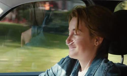 Hvězdy nám nepřály  Fault in Our Stars, The (2014) DVDRip CZ Dabing avi