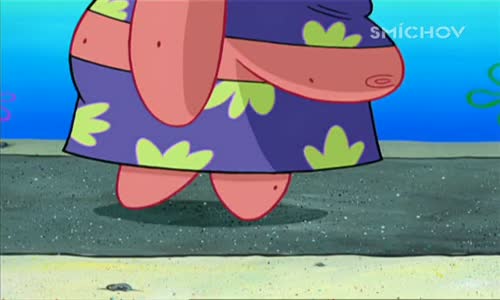 Spongebob v kalhotách S07E26 Velká sestra Sam - Dokonalá chemie SDTV x264-PiP mp4