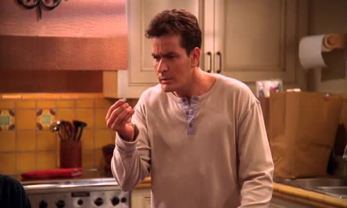 Two and a Half Men S01E14 2003 WS DVDRiP XviD Multidub SK-SARiCON avi