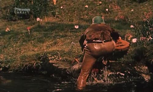 Obušku, z pytle ven! (1955) avi