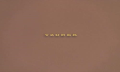 Vzorek   (2013)   mp4