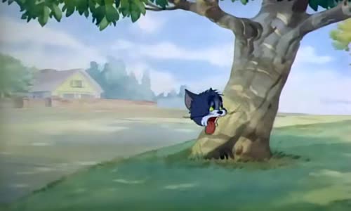 Tom a Jerry (16) mp4