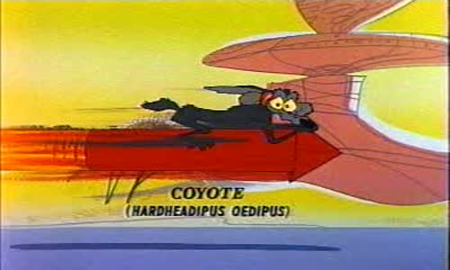 road_runner___wile_e_coyote_-_16_-_ wild_about_hurry mpg