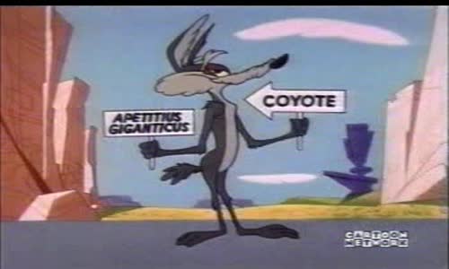 road_runner___wile_e_coyote_-_20_-_ lickety-splat mpg