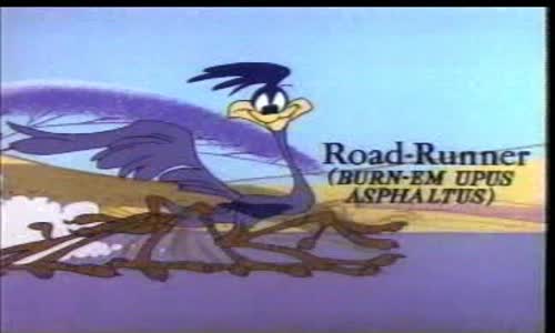 road_runner___wile_e_coyote_-_24_-_ war_and_pieces mpg