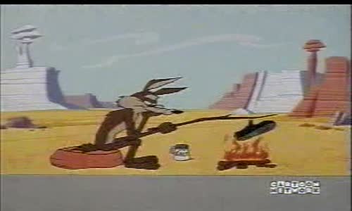 road_runner___wile_e_coyote_-_33_-_ hairied_and_hurried mpg