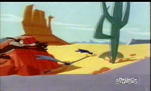 road_runner___wile_e_coyote_-_36_-_ shot_and_bothered mpg