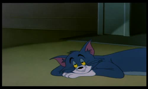 TOM-A-JERRY---8 avi