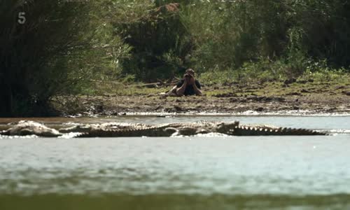 Killer Crocs with Steve Backshall S01E01 XviD-AFG avi