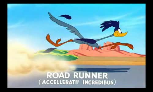 Road runner  1 mkv