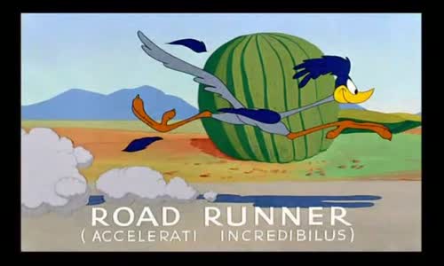 Road runner  2 mkv